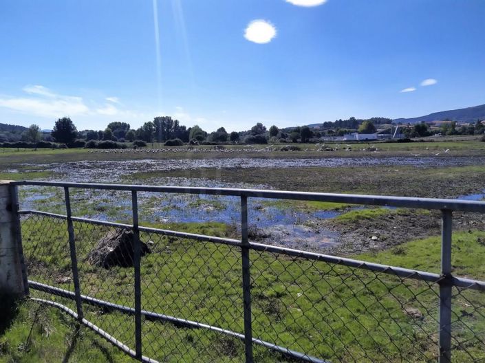 Image No.41-Maison de 7 chambres à vendre à Covilhã