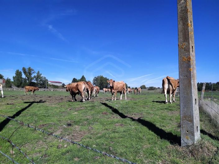 Image No.43-Maison de 7 chambres à vendre à Covilhã