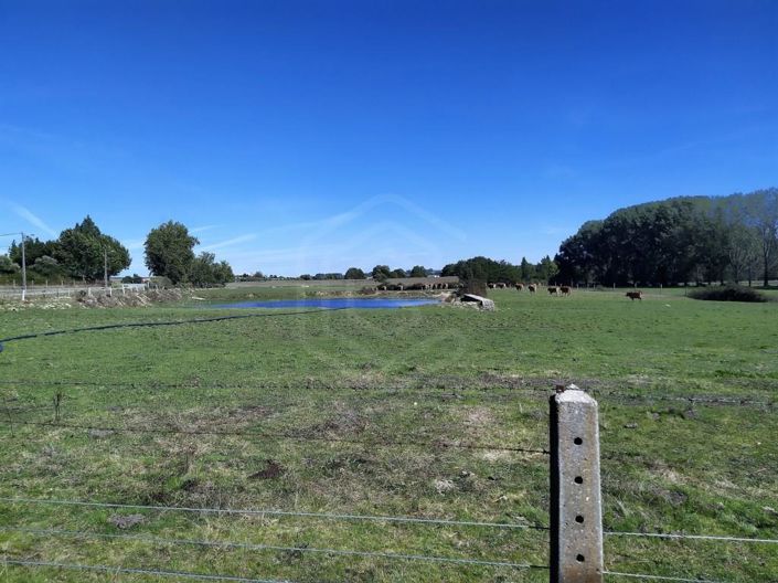 Image No.44-Maison de 7 chambres à vendre à Covilhã