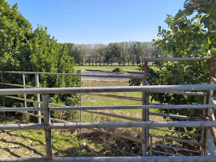 Image No.47-Maison de 7 chambres à vendre à Covilhã