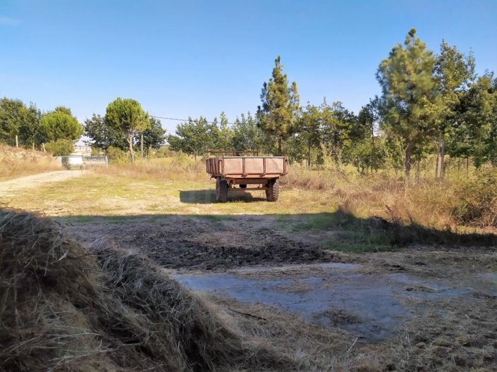 Image No.49-Maison de 7 chambres à vendre à Covilhã
