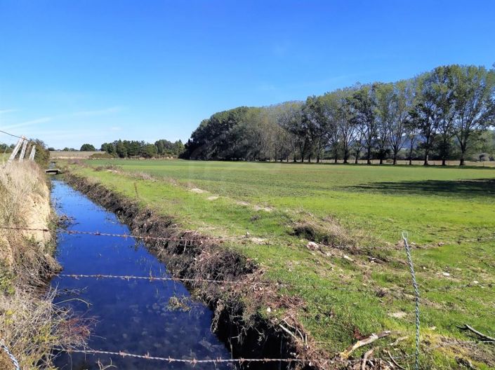 Image No.6-Maison de 7 chambres à vendre à Covilhã