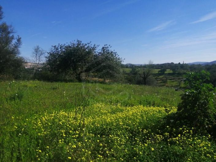 Image No.12-5 Bed House for sale