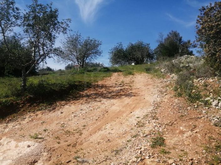 Image No.8-5 Bed House for sale