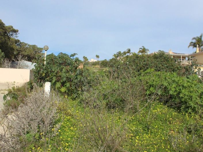Image No.29-Maison de 3 chambres à vendre à Luz