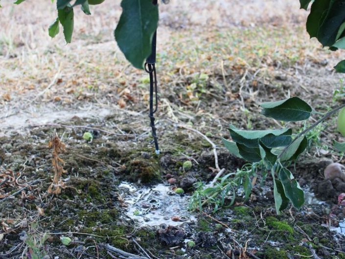 Image No.17-Maison de 6 chambres à vendre à Belmonte