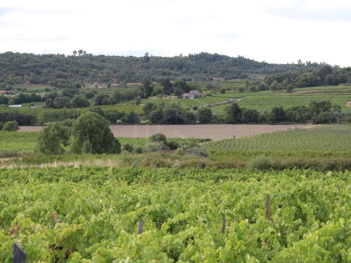 Image No.19-Maison de 6 chambres à vendre à Belmonte