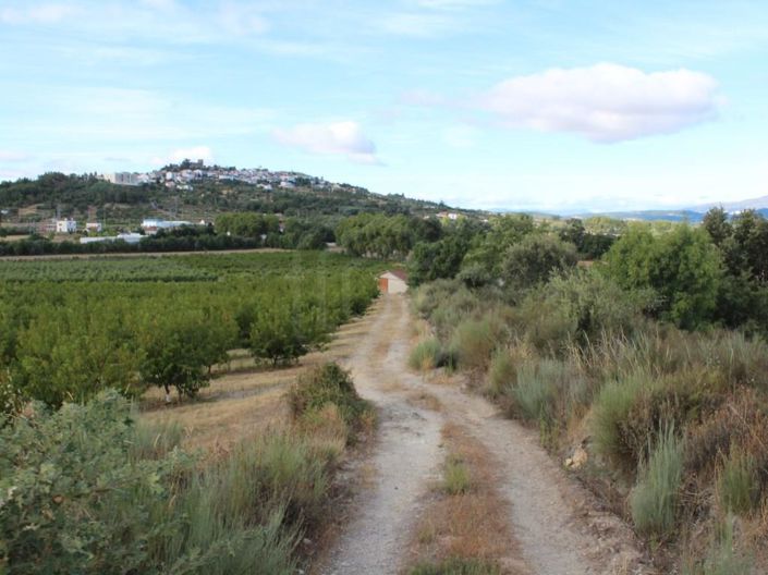 Image No.31-Maison de 6 chambres à vendre à Belmonte