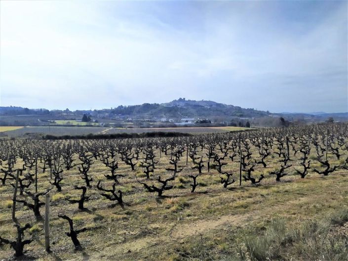 Image No.34-Maison de 6 chambres à vendre à Belmonte