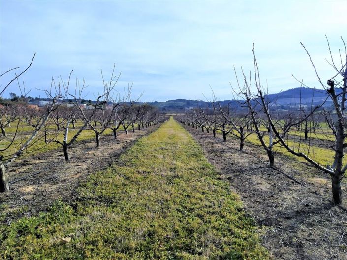 Image No.35-Maison de 6 chambres à vendre à Belmonte