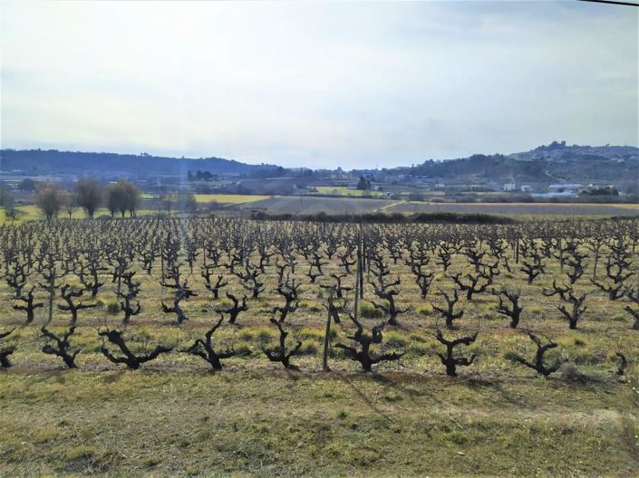 Image No.36-Maison de 6 chambres à vendre à Belmonte