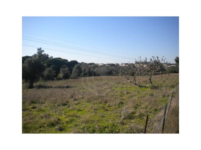 Image No.4-Maison de 14 chambres à vendre à Albufeira