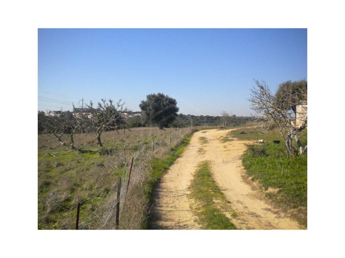 Image No.6-Maison de 14 chambres à vendre à Albufeira