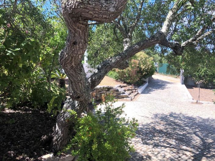 Image No.40-4 Bed House for sale