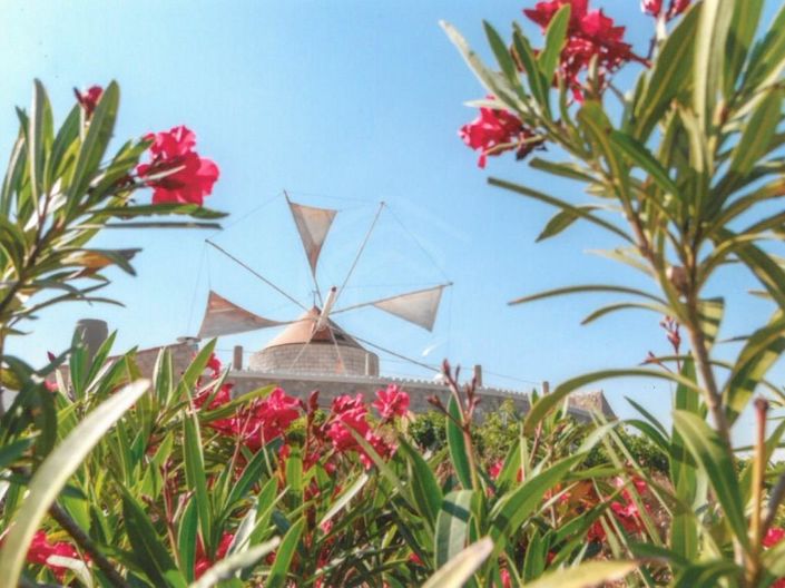 Image No.10-Maison de 3 chambres à vendre à Tavira