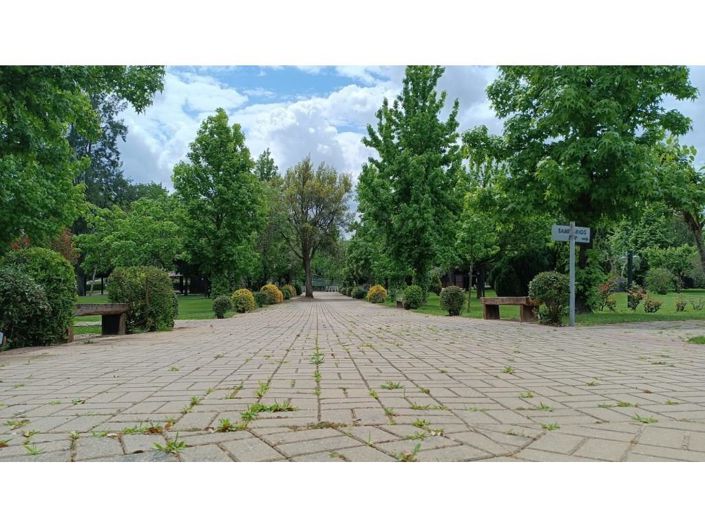 Image No.15-Maison de 3 chambres à vendre à Abrantes