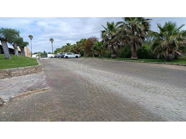 Image No.43-Maison de 3 chambres à vendre à Abrantes