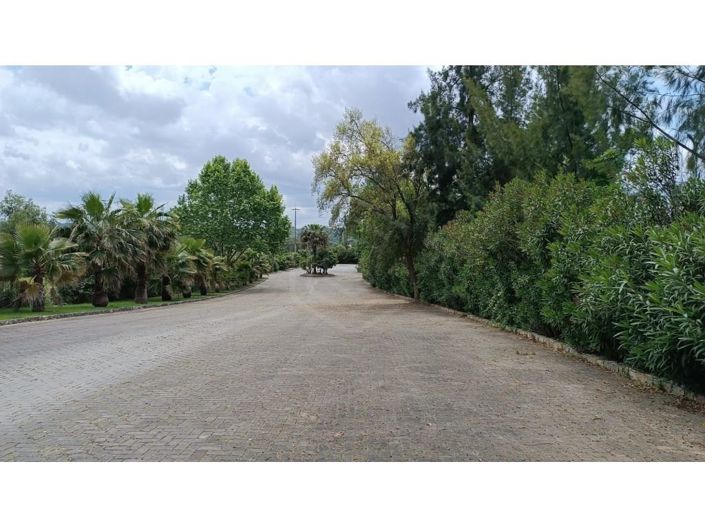 Image No.44-Maison de 3 chambres à vendre à Abrantes