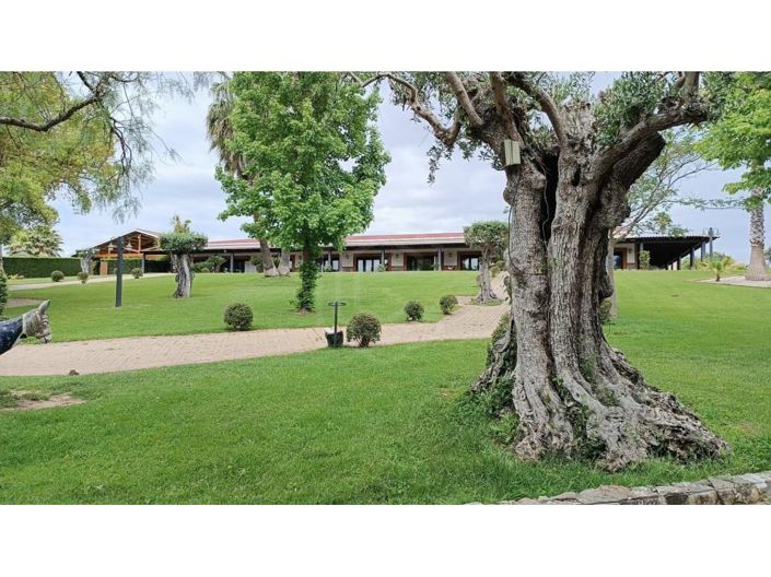 Image No.6-Maison de 3 chambres à vendre à Abrantes