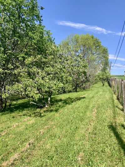 Image No.6-Maison de 3 chambres à vendre à Oloron-Sainte-Marie