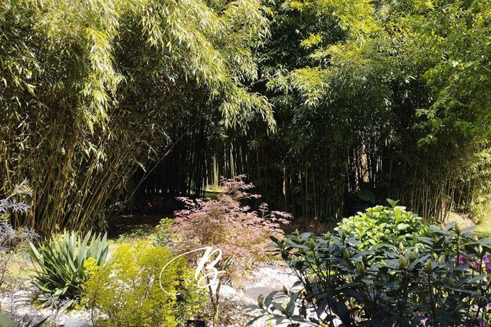 Image No.7-Maison de 8 chambres à vendre à Nostang