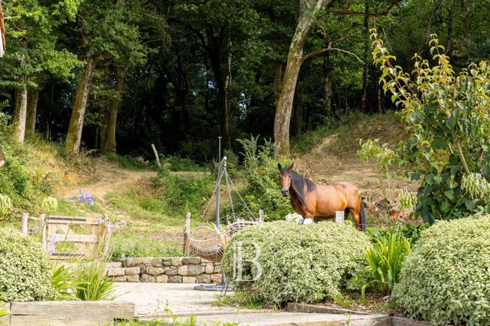 Image No.26-Maison de 5 chambres à vendre à Saint-André-de-Seignanx