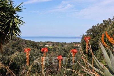 1 - Calcatoggio, Maison