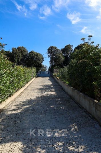 Image No.4-Maison de 10 chambres à vendre à Calcatoggio