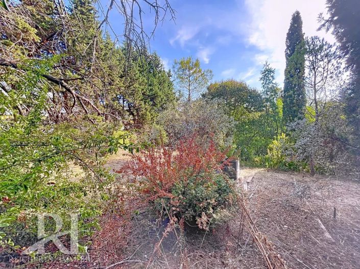 Image No.16-4 Bed House for sale