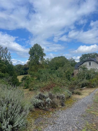 Image No.2-Maison de 6 chambres à vendre à Oloron-Sainte-Marie