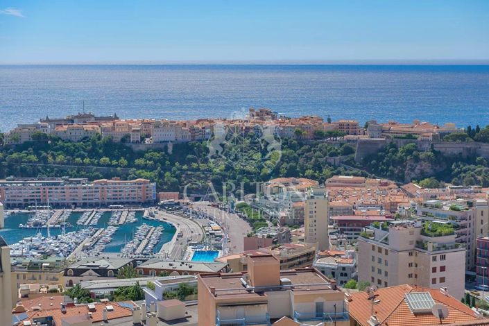 Image No.18-Appartement de 3 chambres à vendre à Beausoleil