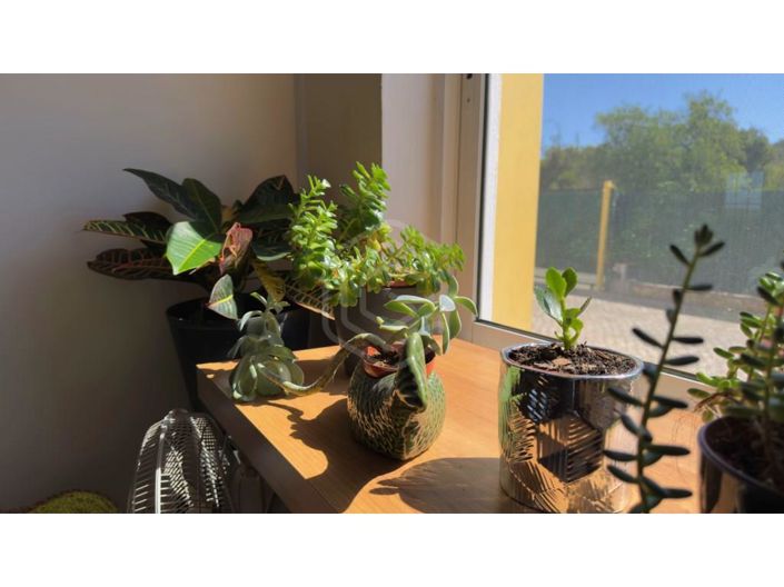 Image No.15-Maison de 2 chambres à vendre à Loule