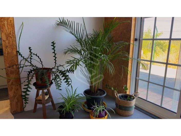 Image No.19-Maison de 2 chambres à vendre à Loule