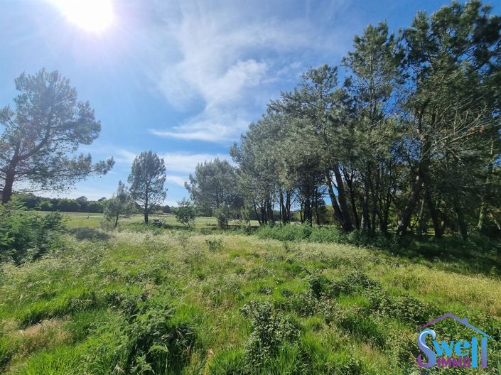 Image No.10-Maison de 4 chambres à vendre à Moliets-et-Maa