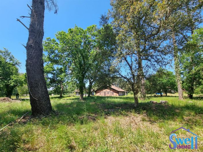 Image No.3-Maison de 4 chambres à vendre à Moliets-et-Maa