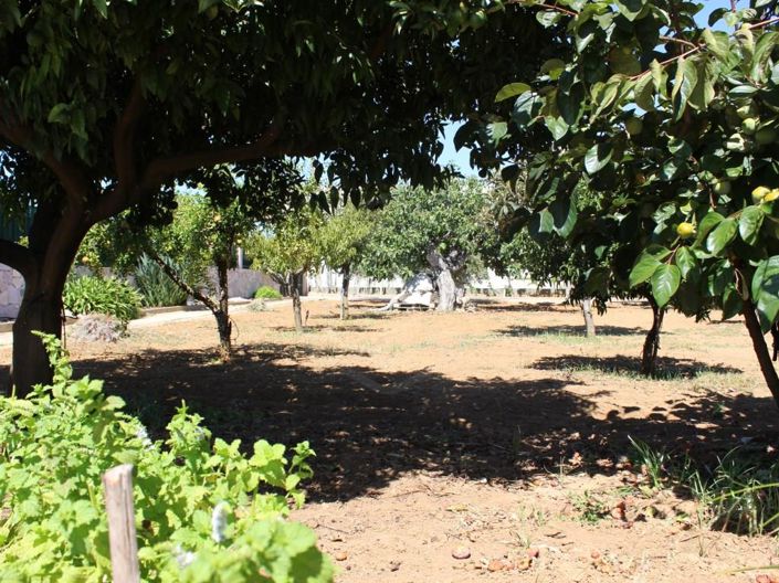 Image No.32-Maison de 4 chambres à vendre à Tavira