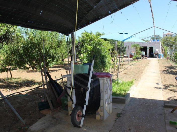 Image No.34-Maison de 4 chambres à vendre à Tavira