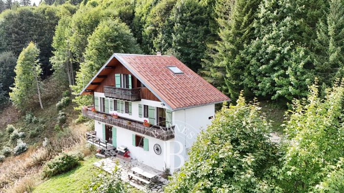 Image No.38-Maison de 6 chambres à vendre à La Côte-d'Arbroz