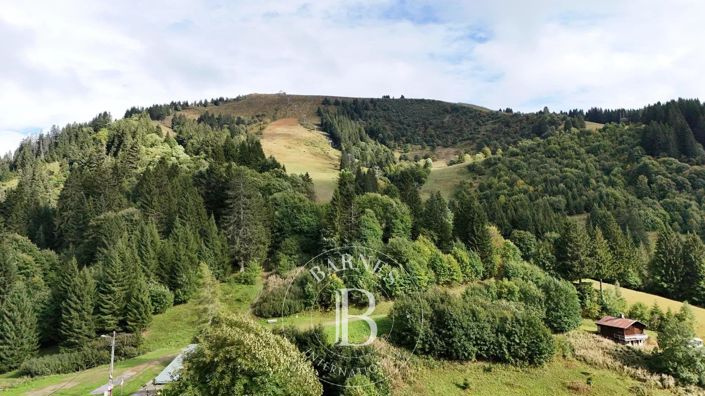 Image No.6-Maison de 6 chambres à vendre à La Côte-d'Arbroz