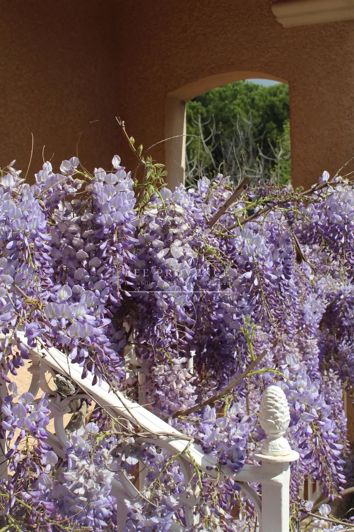 Image No.38-Maison de 5 chambres à vendre à Saint-Raphael