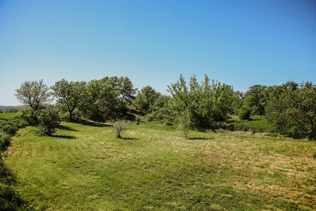 Image No.10-Maison de 11 chambres à vendre à Lézan