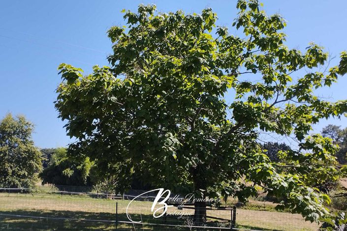 Image No.16-Maison de 5 chambres à vendre à Auray