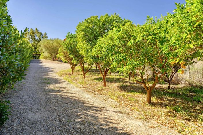 Image No.4-Maison à vendre à Saint-Tropez
