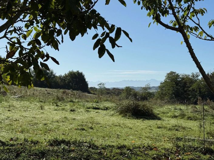 Image No.10-Maison de 4 chambres à vendre à Pyrenees-Atlantiques