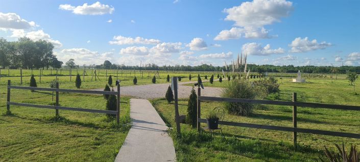 Image No.4-5 Bed House for sale