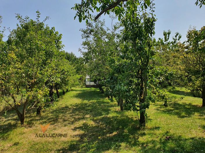 Image No.18-3 Bed House for sale