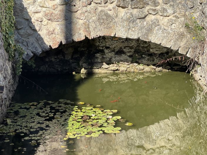 Image No.5-Maison de 5 chambres à vendre à Vic-Fezensac