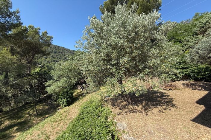 Image No.13-Maison de 2 chambres à vendre à Bargemon