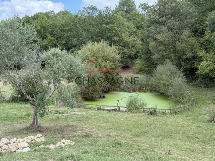 Image No.5-Maison de 5 chambres à vendre à Sauveterre-de-Guyenne