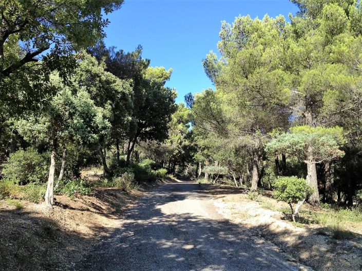 Image No.6-Propriété de 7 chambres à vendre à Lourmarin